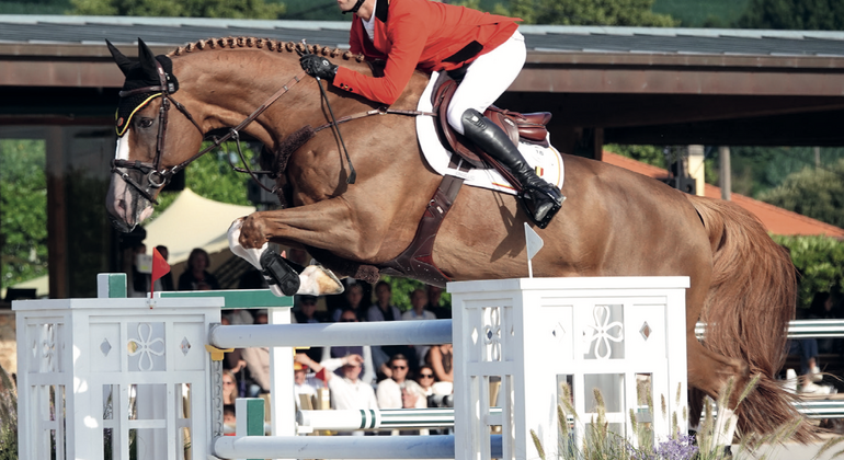 Gilles Thomas : « Je connais tous mes chevaux par cœur. »