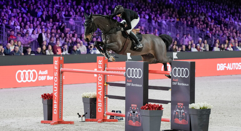 Bordeaux : Dries Degrieck au sommet de l’attelage et une victoire 5* pour Martin Fuchs