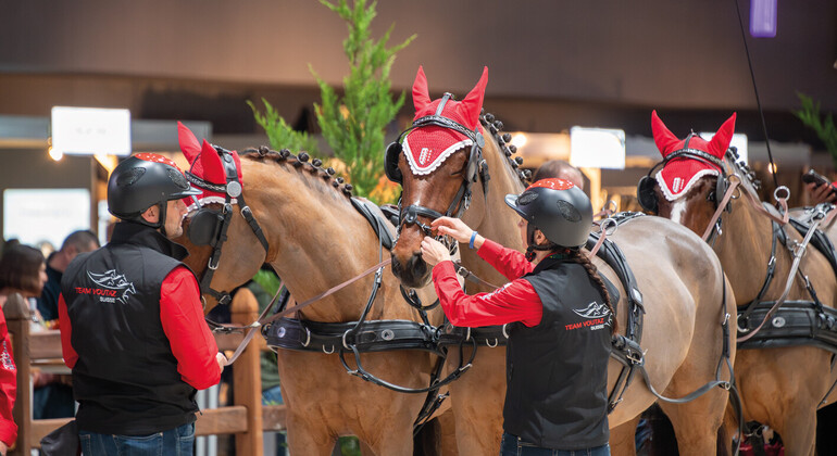Les grooms puissance 4 de Jérôme Voutaz