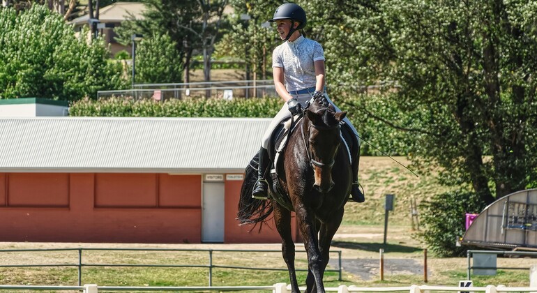 Swiss Equestrian: du nouveau dans les règlements