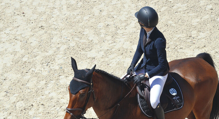 Commerces de chevaux