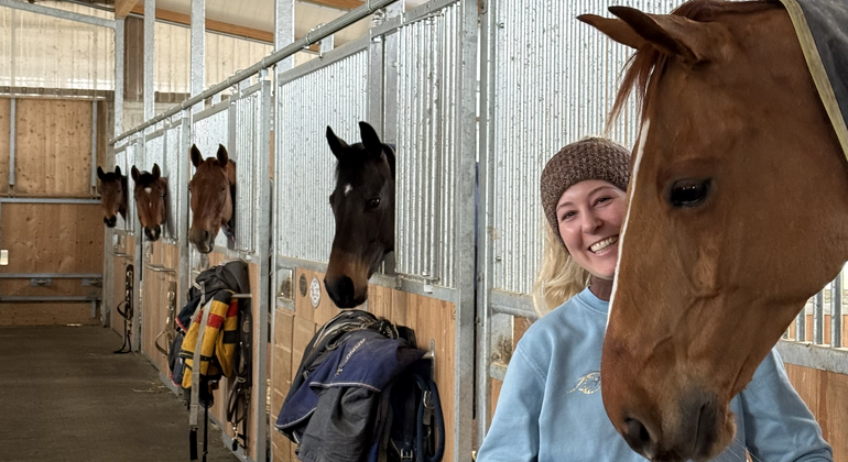 Un avenir rayonnant affixé « Chignan »