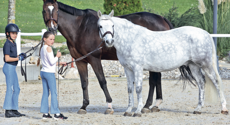 Poneys ou children : telle est la question !