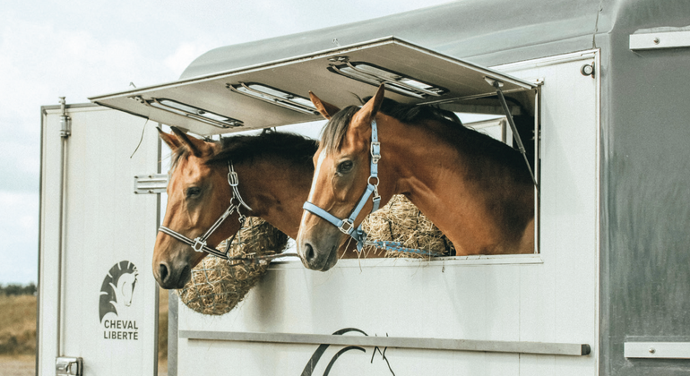 Transport : en voiture Petit Tonnerre !