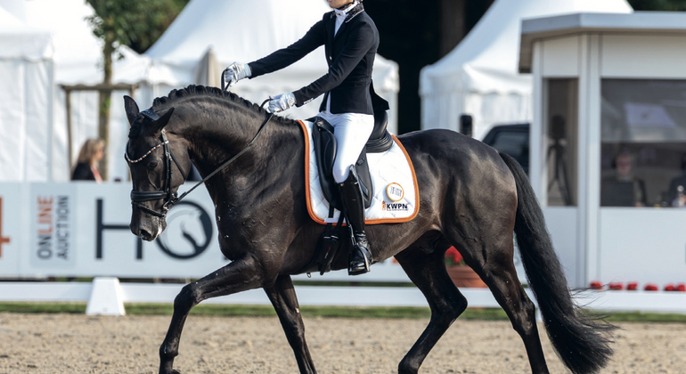 Règlements FEI : du stretching à haut niveau ?