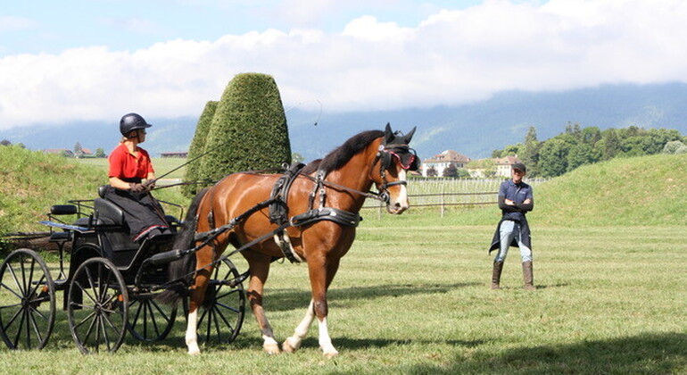De l'attelage à Franchevaux