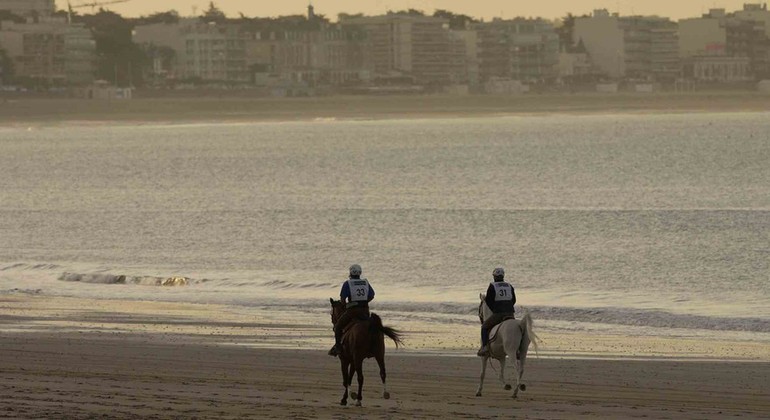 Forum sportif de la FEI : l’endurance doit se réformer, mais elle devrait rester dans le giron