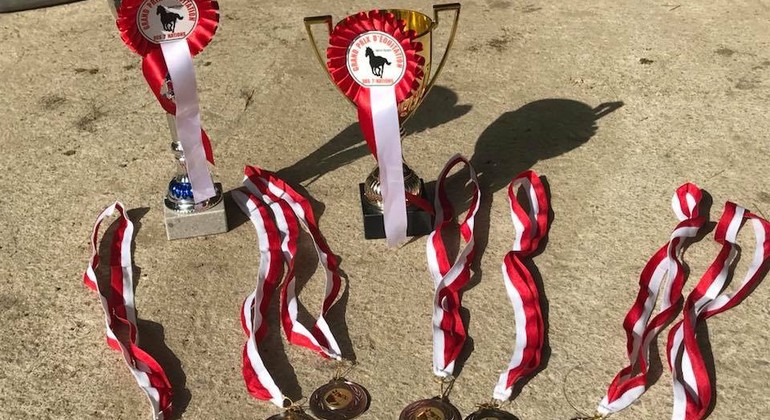 Démissions dans plusieurs directoires des disciplines de la Fédération Suisse des Sports Equestres pour la fin de 2018