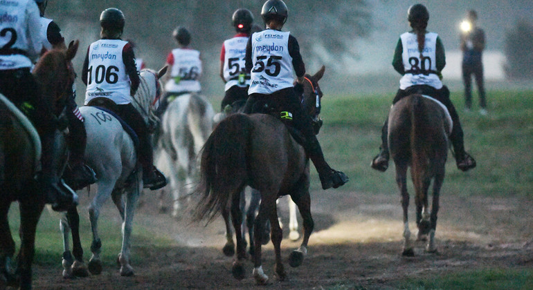 Maltraitance animale : le TAS annule les 20 ans de suspension de la FEI contre un Emirati…