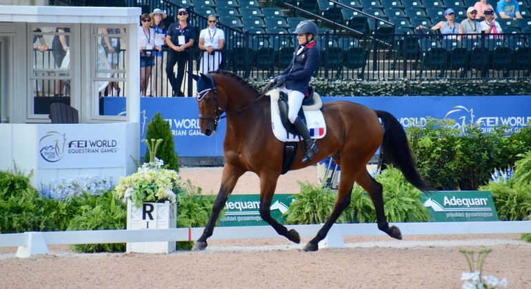 Para-dressage : on prend les mêmes (ou presque) et on récompense. Sophie Wells, Sanne Voets, Stinna Tange encore ! Estelle Guillet 6e