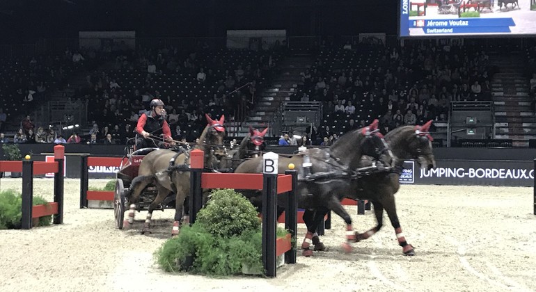 Finale Coupe du monde d’attelage : Bram Chardon 1er et avec une belle avance, Jérôme Voutaz 4e en embuscade, Boyd Exell dernier !