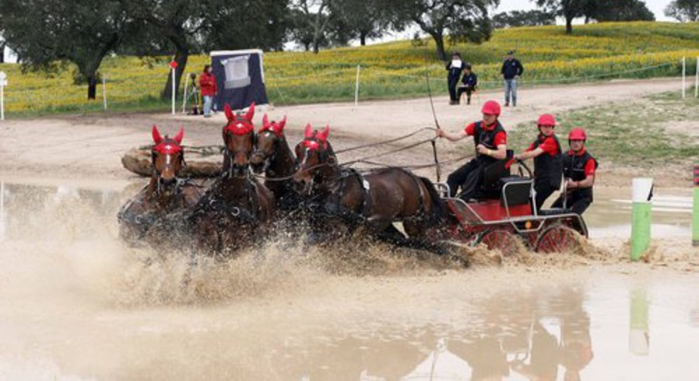 Mondiaux d’attelage à 2 : les Hongrois en or, les Suisses 6es