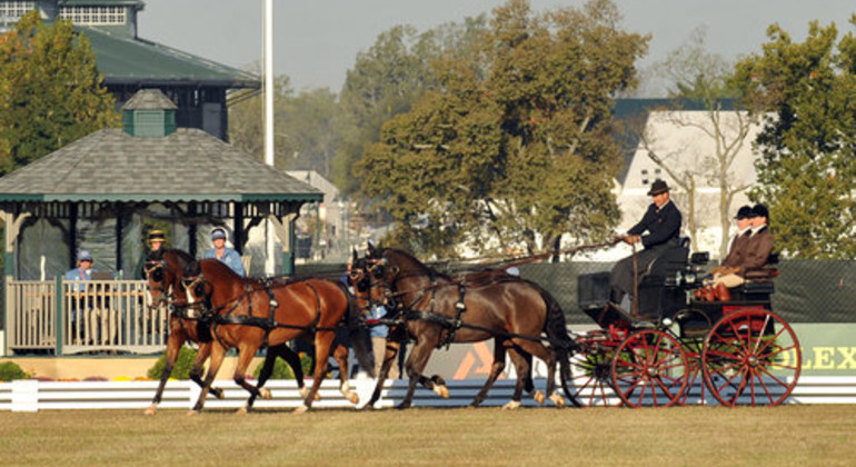 Attelage : Ijsbrand Chardon encore à Aix, trois médailles pour les Suisses aux Mondiaux poneys du Pin