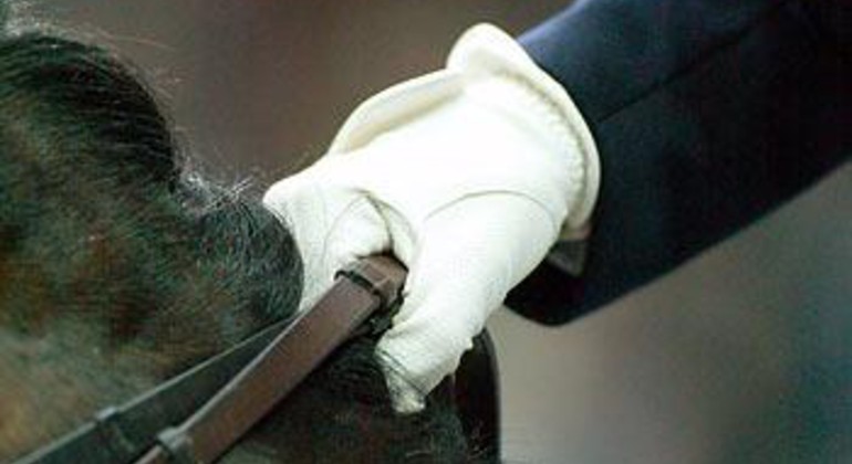 Européens de dressage à Hagen : les Britanniques pour l’heure devant les Danois et… les Allemandes