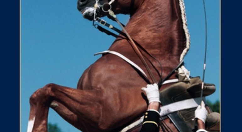 A ne pas manquer ce soir sur France 5: LES TRÉSORS DU PATRIMOINE EQUESTRE