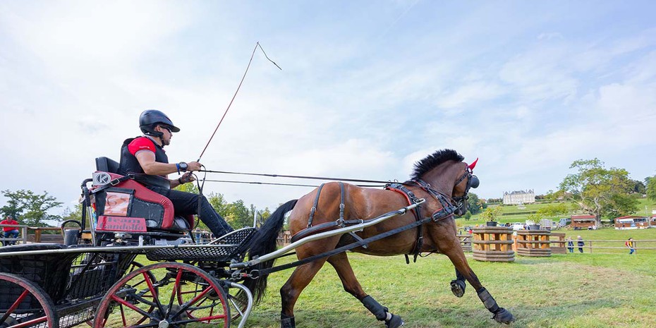 Coupe des Nations au Haras du Pin: la Suisse s'impose à un cheval
