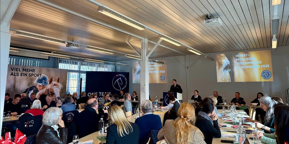 Swiss Equestrian renforce la voix des athlètes et mise sur la cohésion et l'avenir