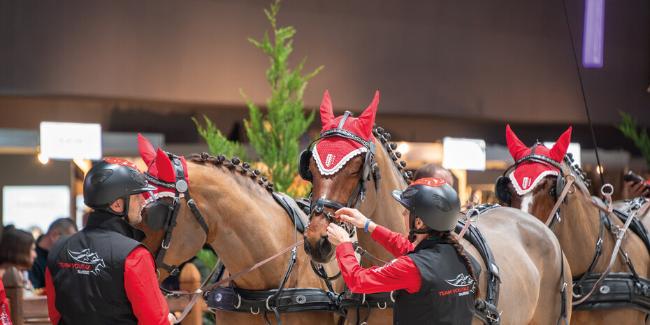 Les grooms puissance 4 de Jérôme Voutaz