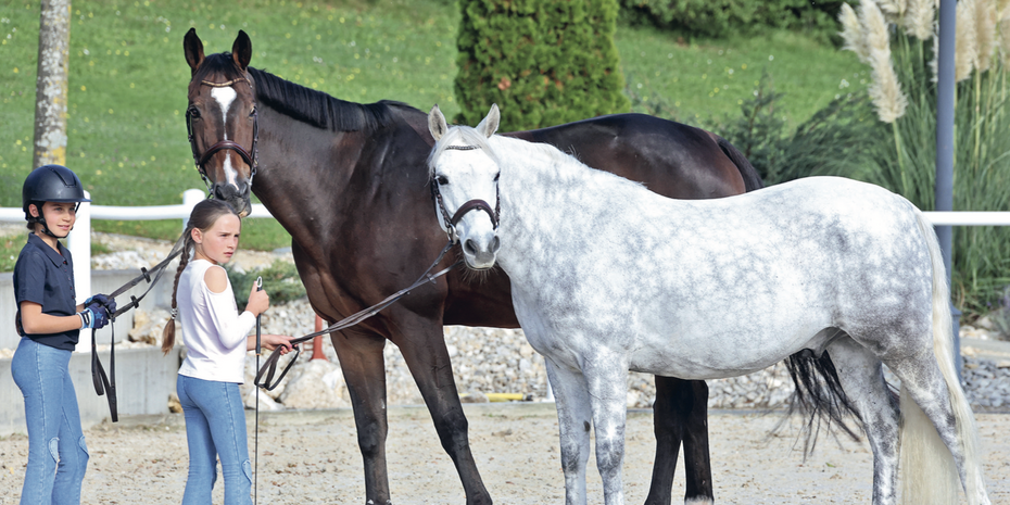 Poneys ou children : telle est la question !