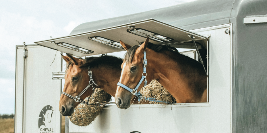 Transport : en voiture Petit Tonnerre !