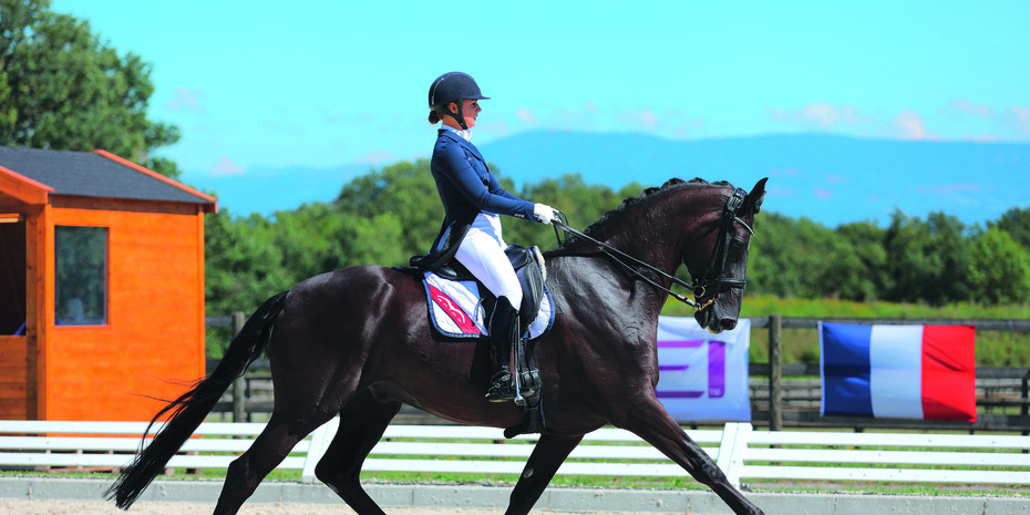 Composition des cadres Dressage pour 2019
