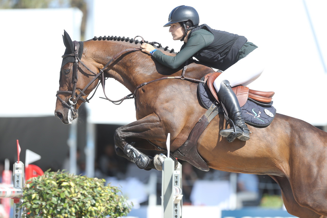 Sasha Barthe Le Bond De La Genevoise Devenue Normande Le Cavalier Romand